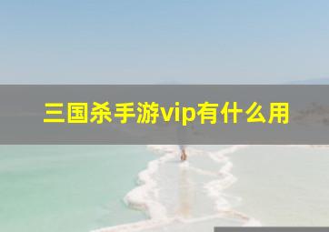 三国杀手游vip有什么用