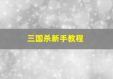 三国杀新手教程