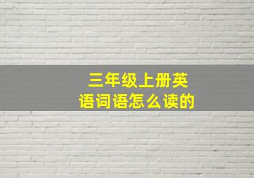 三年级上册英语词语怎么读的