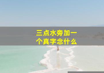 三点水旁加一个真字念什么