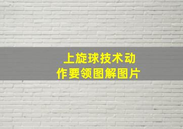 上旋球技术动作要领图解图片