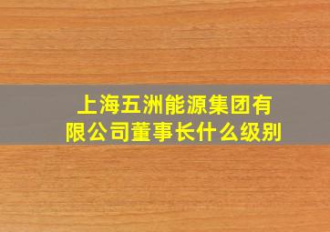 上海五洲能源集团有限公司董事长什么级别