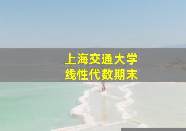 上海交通大学线性代数期末