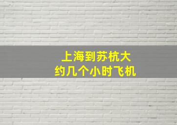 上海到苏杭大约几个小时飞机