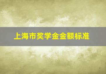 上海市奖学金金额标准