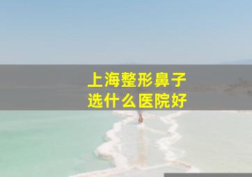 上海整形鼻子选什么医院好