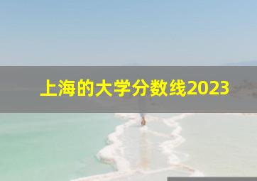 上海的大学分数线2023