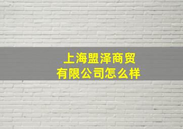 上海盟泽商贸有限公司怎么样