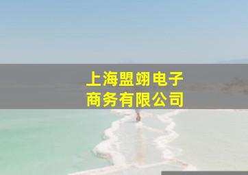 上海盟翊电子商务有限公司