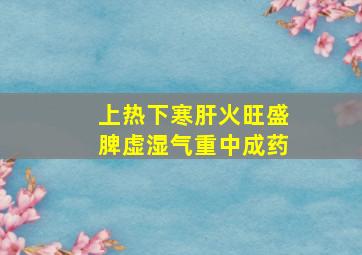 上热下寒肝火旺盛脾虚湿气重中成药