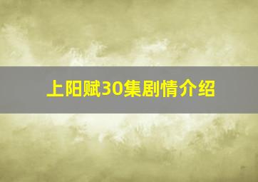 上阳赋30集剧情介绍