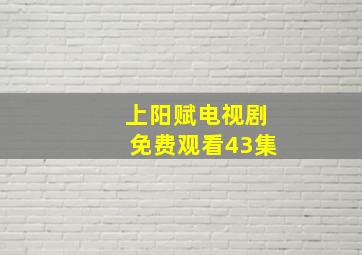 上阳赋电视剧免费观看43集