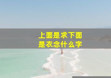 上面是求下面是衣念什么字