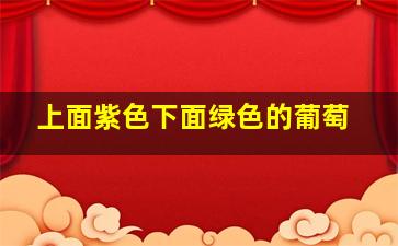 上面紫色下面绿色的葡萄