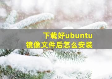 下载好ubuntu镜像文件后怎么安装