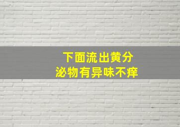 下面流出黄分泌物有异味不痒