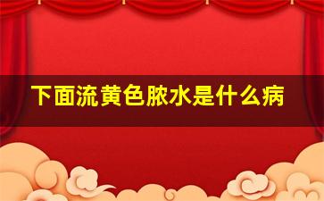 下面流黄色脓水是什么病