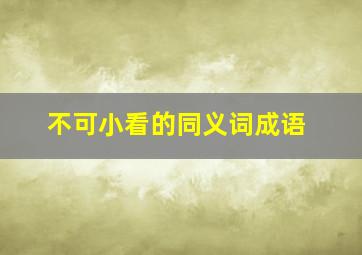 不可小看的同义词成语