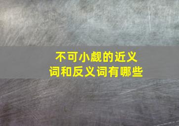 不可小觑的近义词和反义词有哪些