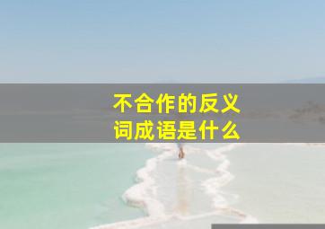 不合作的反义词成语是什么