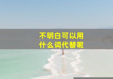 不明白可以用什么词代替呢