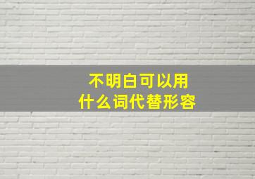 不明白可以用什么词代替形容