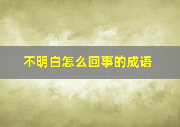 不明白怎么回事的成语