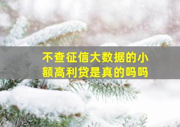 不查征信大数据的小额高利贷是真的吗吗