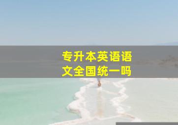 专升本英语语文全国统一吗