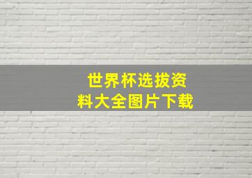 世界杯选拔资料大全图片下载