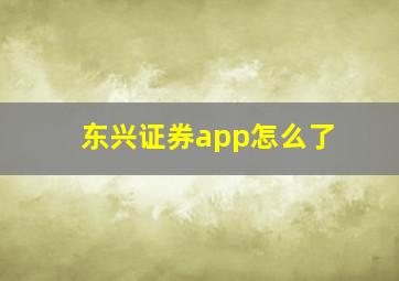 东兴证券app怎么了