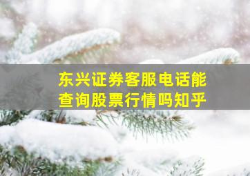 东兴证券客服电话能查询股票行情吗知乎