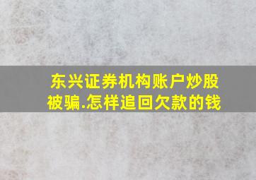 东兴证券机构账户炒股被骗.怎样追回欠款的钱