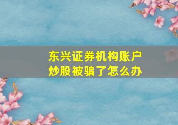 东兴证券机构账户炒股被骗了怎么办