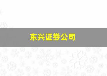 东兴证劵公司