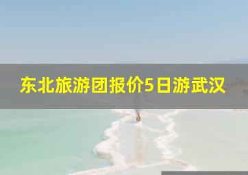 东北旅游团报价5日游武汉