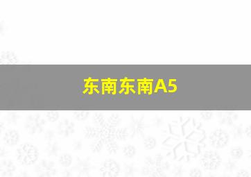 东南东南A5