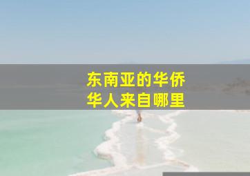 东南亚的华侨华人来自哪里