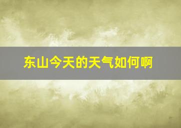 东山今天的天气如何啊