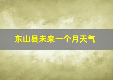 东山县未来一个月天气