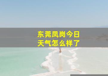 东莞凤岗今日天气怎么样了