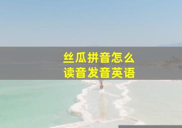 丝瓜拼音怎么读音发音英语