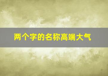 两个字的名称高端大气