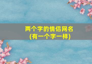 两个字的情侣网名(有一个字一样)