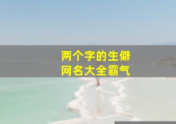 两个字的生僻网名大全霸气