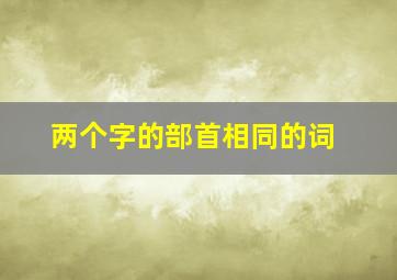 两个字的部首相同的词