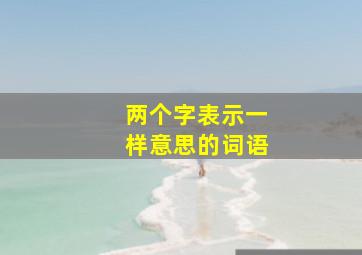 两个字表示一样意思的词语