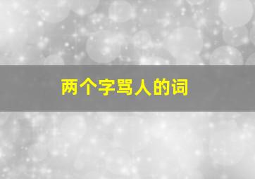 两个字骂人的词