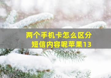 两个手机卡怎么区分短信内容呢苹果13