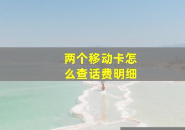 两个移动卡怎么查话费明细